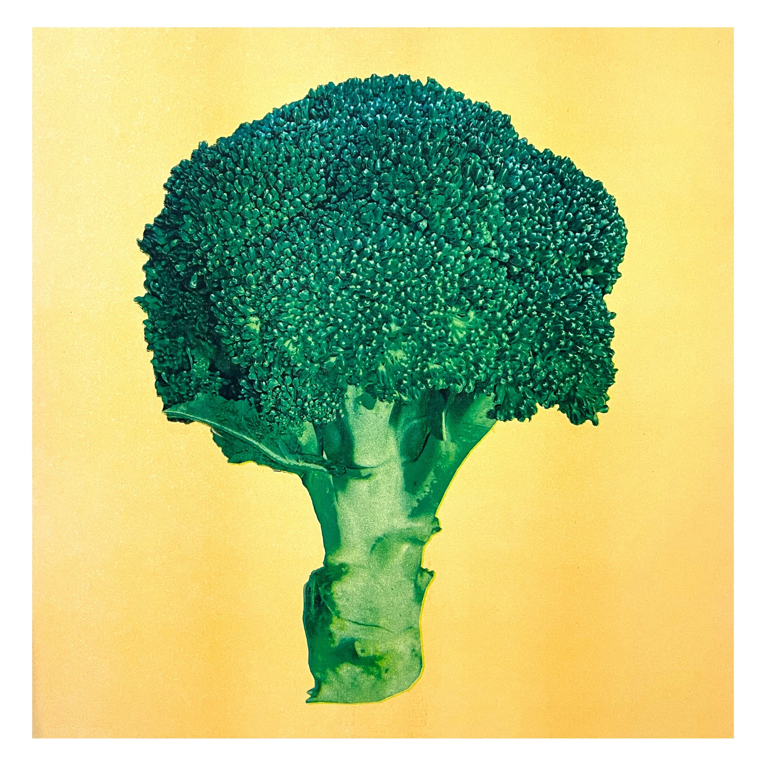 【broccoli】 Broccoli | Tokita Seed America